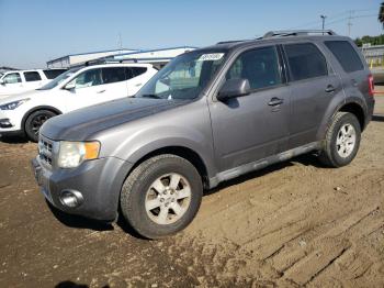  Salvage Ford Escape