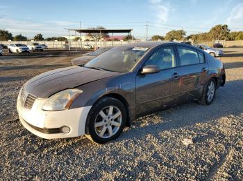  Salvage Nissan Maxima