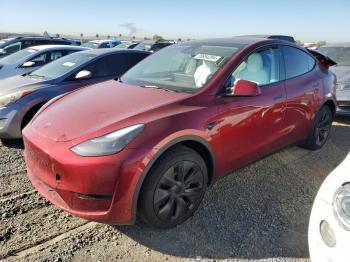  Salvage Tesla Model Y