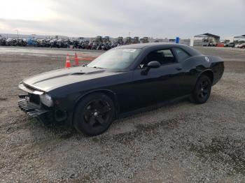  Salvage Dodge Challenger