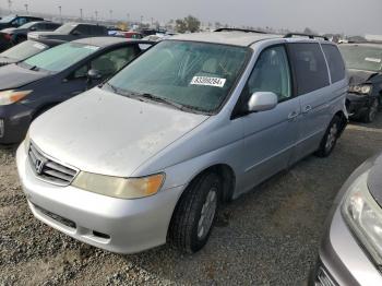  Salvage Honda Odyssey