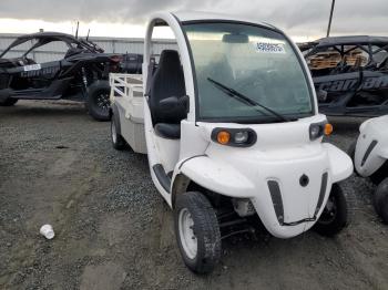  Salvage Global Electric Moto Cart