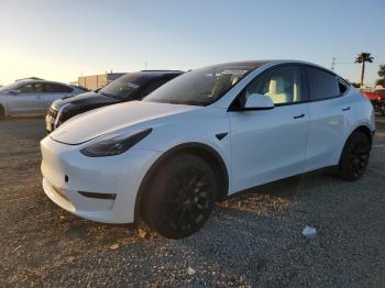  Salvage Tesla Model Y