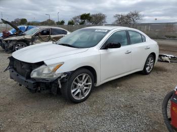  Salvage Nissan Maxima