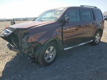  Salvage Honda Pilot