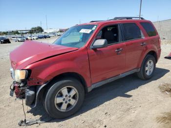  Salvage Ford Escape