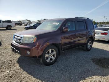  Salvage Honda Pilot