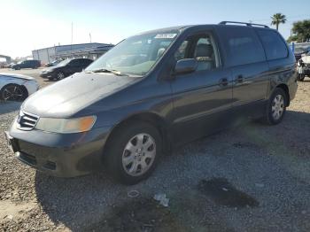  Salvage Honda Odyssey