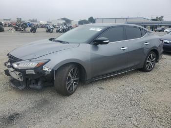  Salvage Nissan Maxima