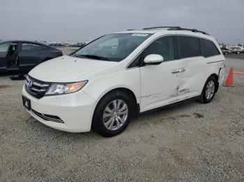  Salvage Honda Odyssey