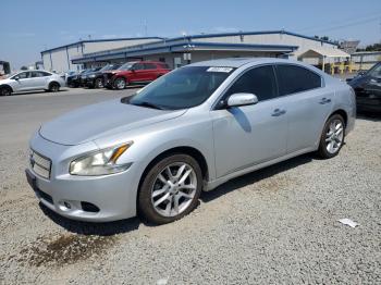  Salvage Nissan Maxima