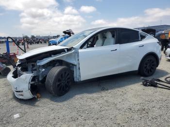  Salvage Tesla Model Y