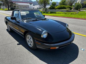  Salvage Alfa Romeo Spider