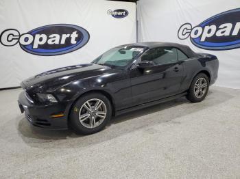  Salvage Ford Mustang