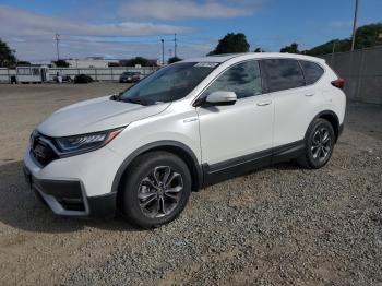  Salvage Honda Crv