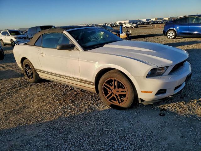 Ford Mustang Image 12