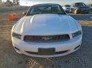 Ford Mustang Image 6