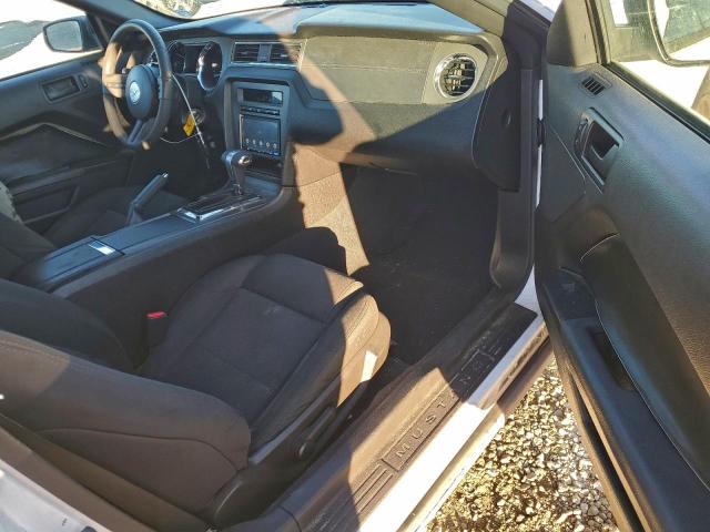 Ford Mustang Image 4