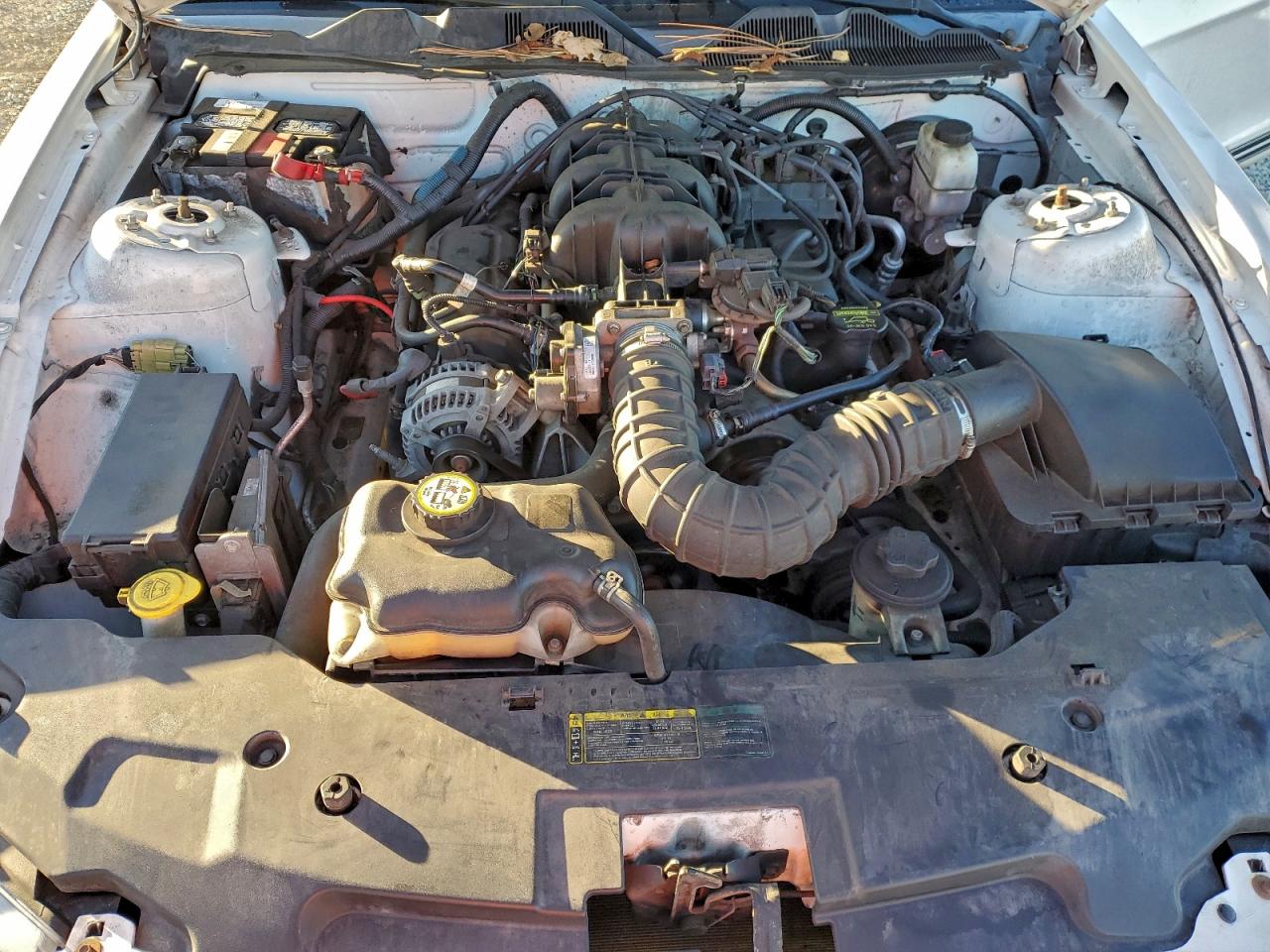 Ford Mustang Image 10