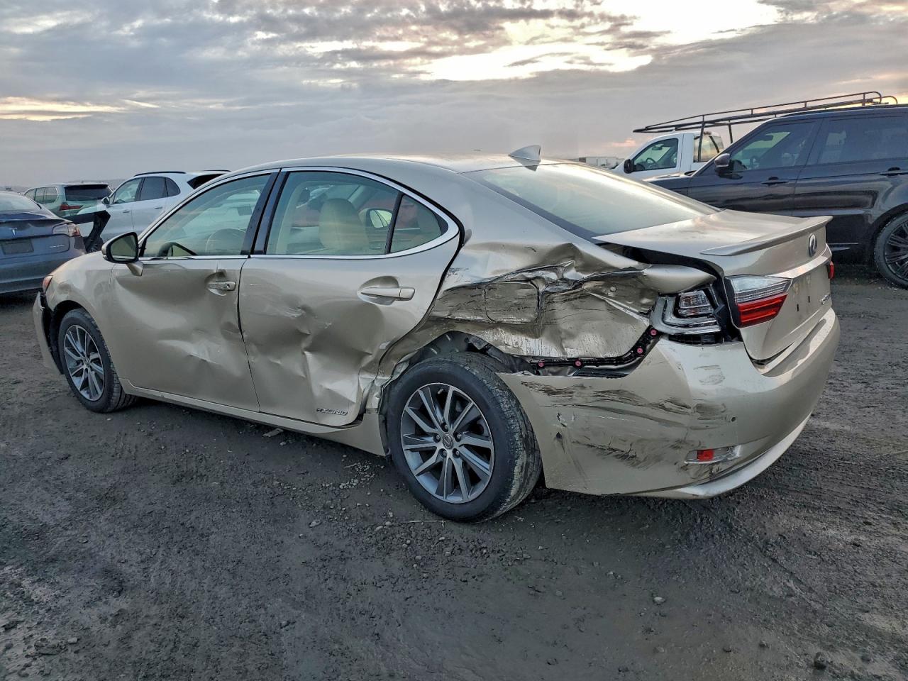 Lexus Es 300h Image 6