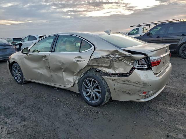 Lexus Es 300h Image 6