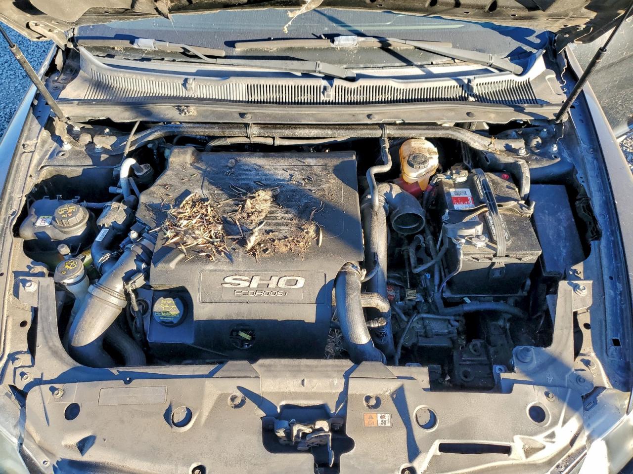 Ford Taurus Sho Image 11