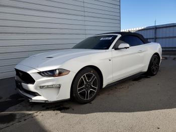  Salvage Ford Mustang