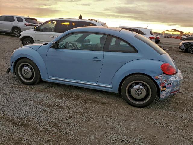 Volkswagen Beetle Image 4