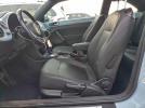 Volkswagen Beetle Image 10