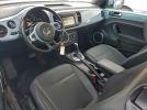 Volkswagen Beetle Image 11