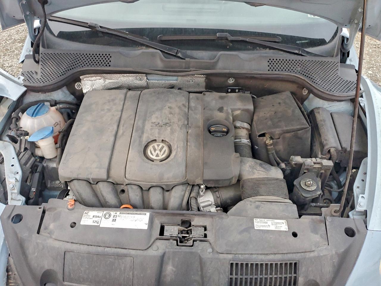 Volkswagen Beetle Image 5