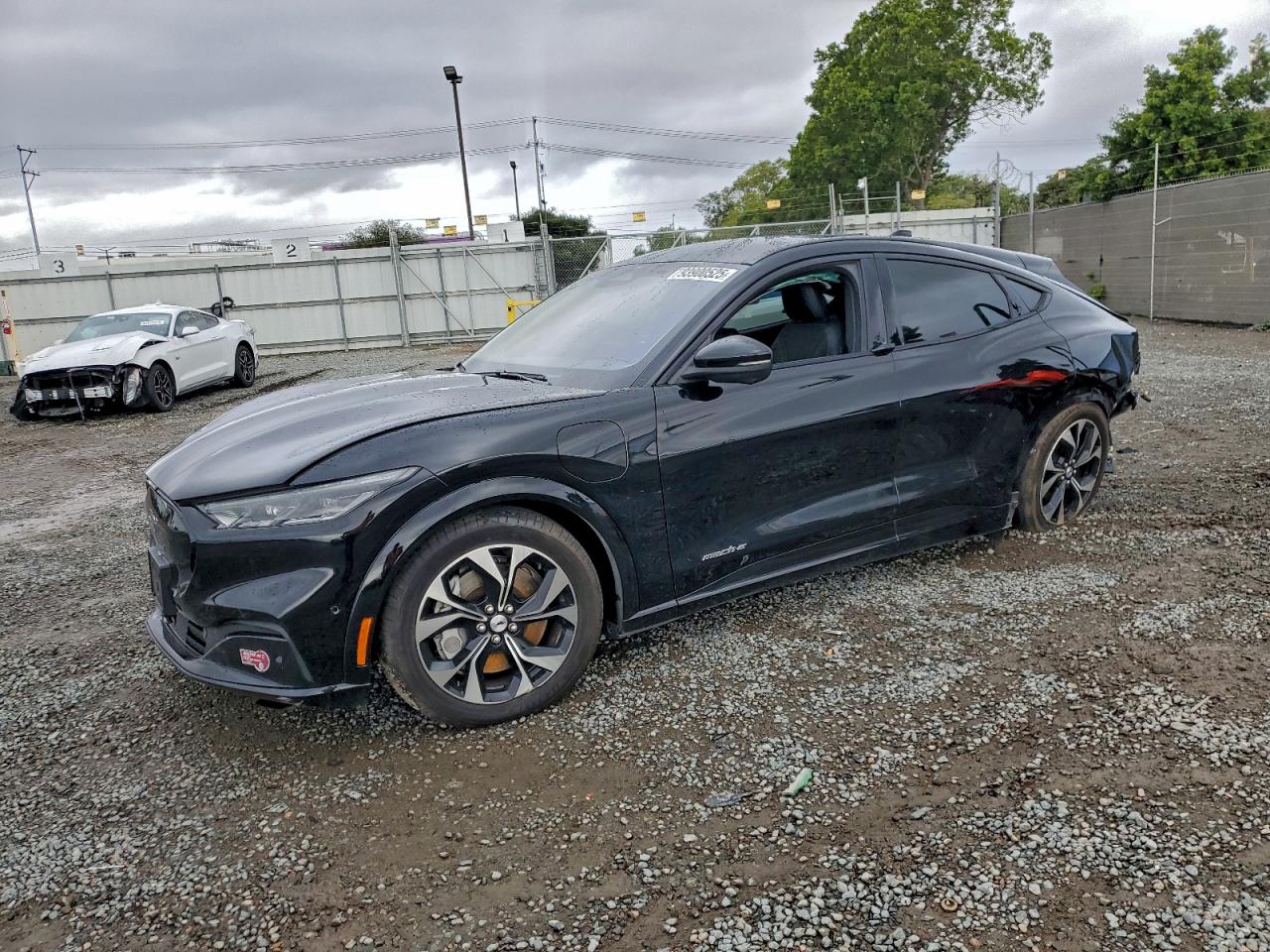 Ford Mustang Premium Image 1