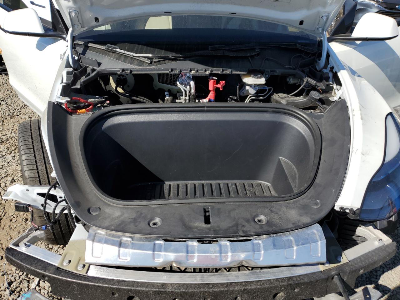 Tesla Model Y Image 12