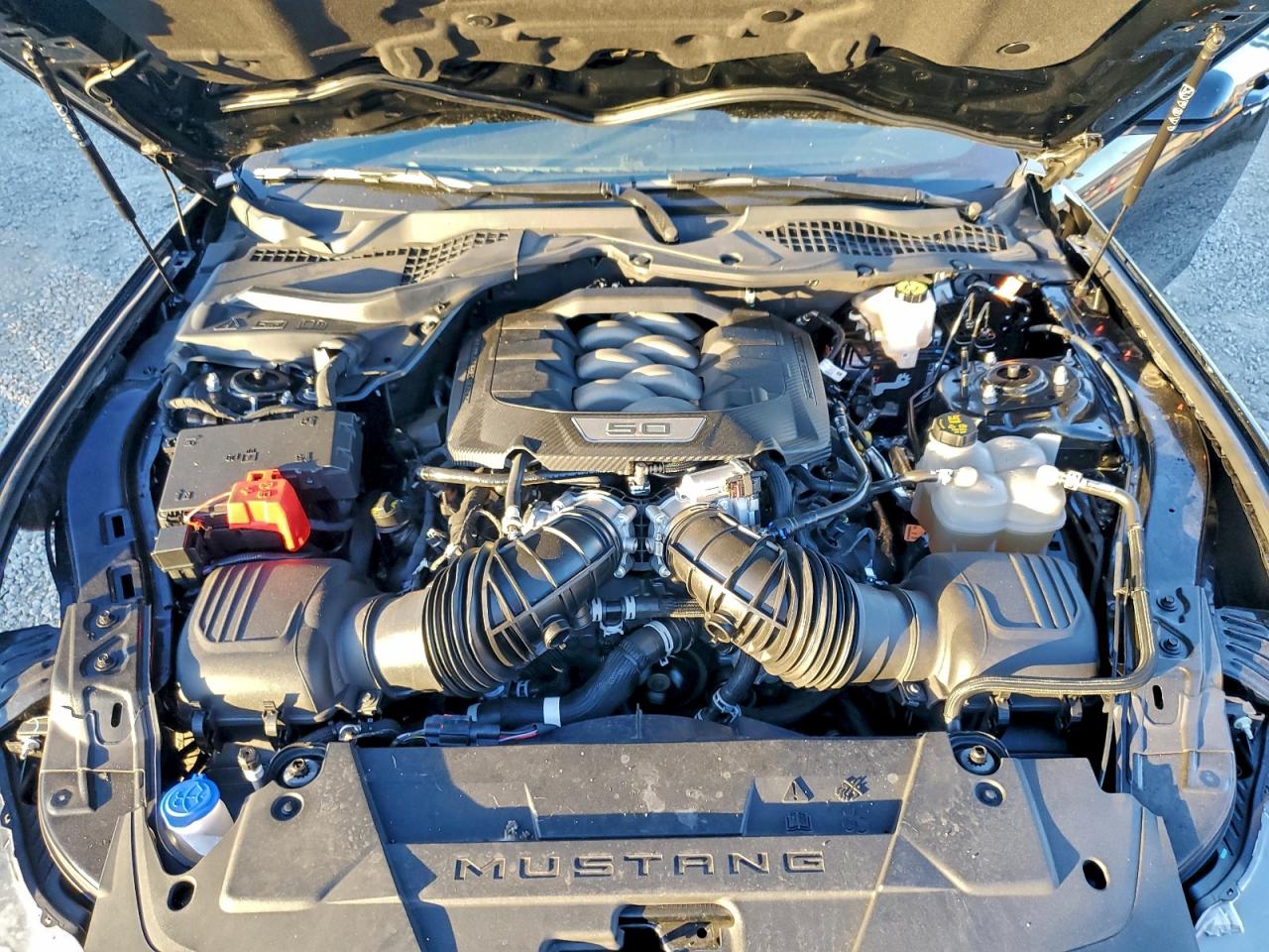 Ford Mustang Gt Image 5