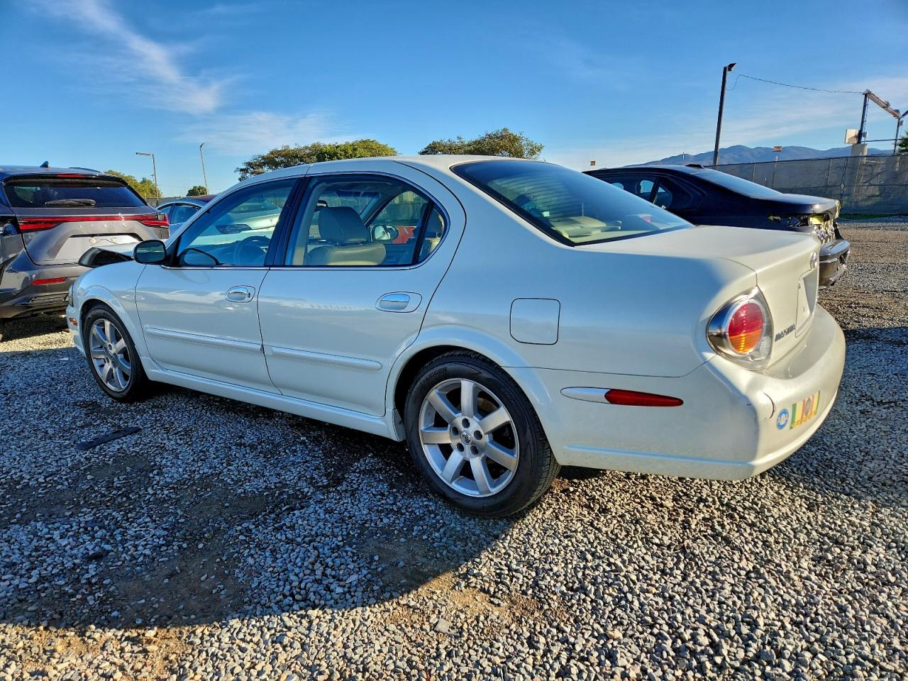 Nissan Maxima Gle Image 7