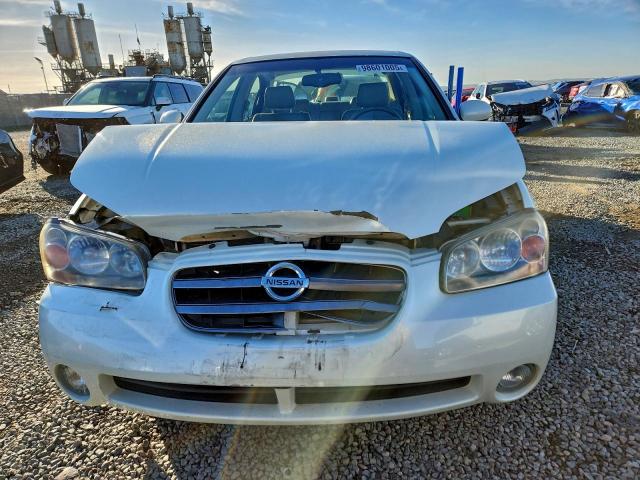 Nissan Maxima Gle Image 5