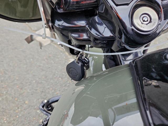 Harley-Davidson Fl Image 6