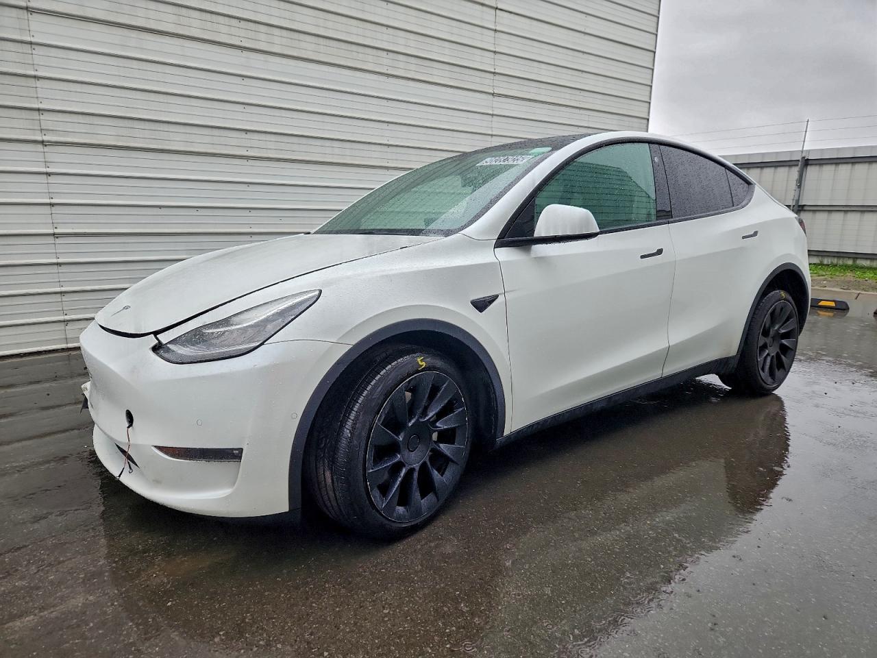Tesla Model Y Image 1