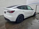 Tesla Model Y Image 3