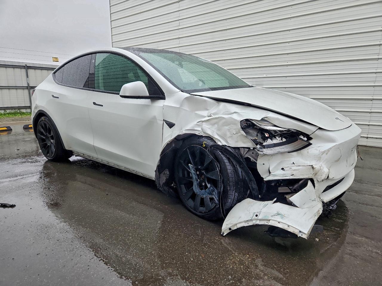 Tesla Model Y Image 4