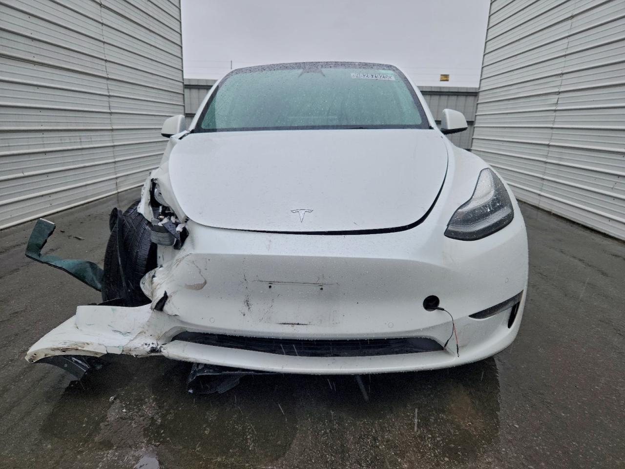 Tesla Model Y Image 6