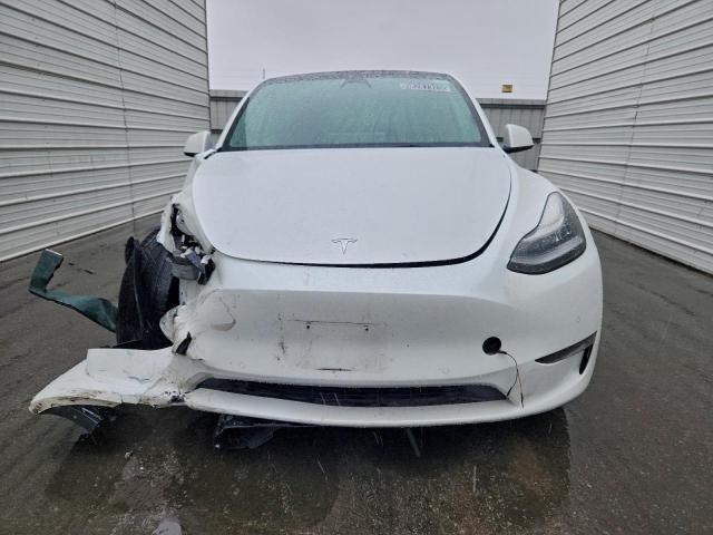 Tesla Model Y Image 6