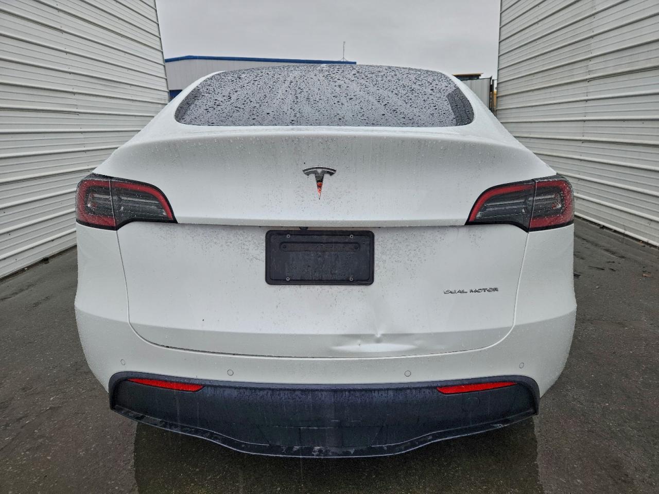 Tesla Model Y Image 7