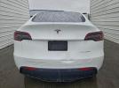 Tesla Model Y Image 7