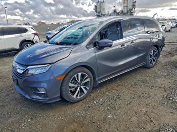  Salvage Honda Odyssey
