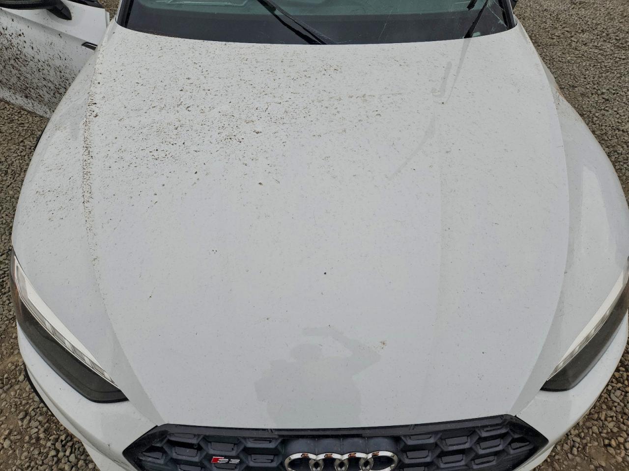 Audi S5 Premium Plus Image 12