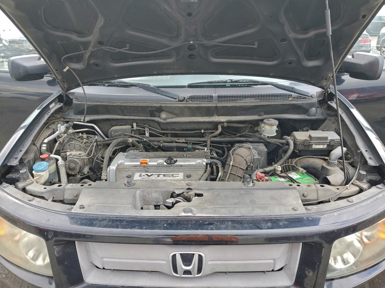 Honda Element Sc Image 11