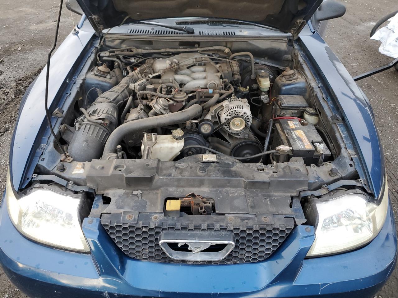 Ford Mustang Image 9