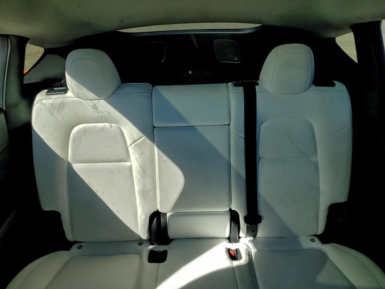 Tesla Model Y Image 7