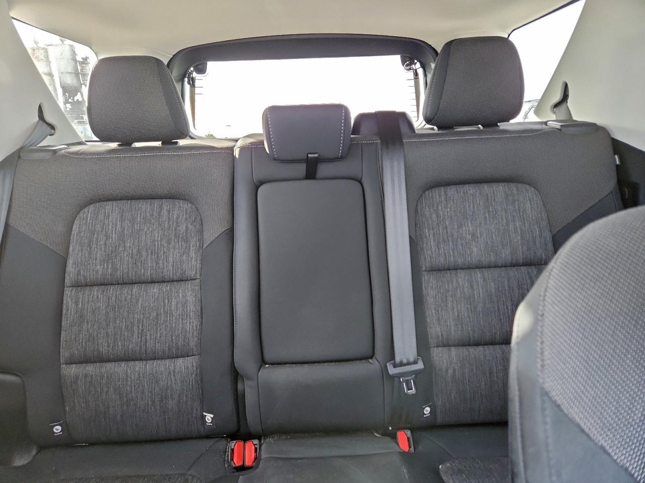 Ford Bronco Big Bend Image 12